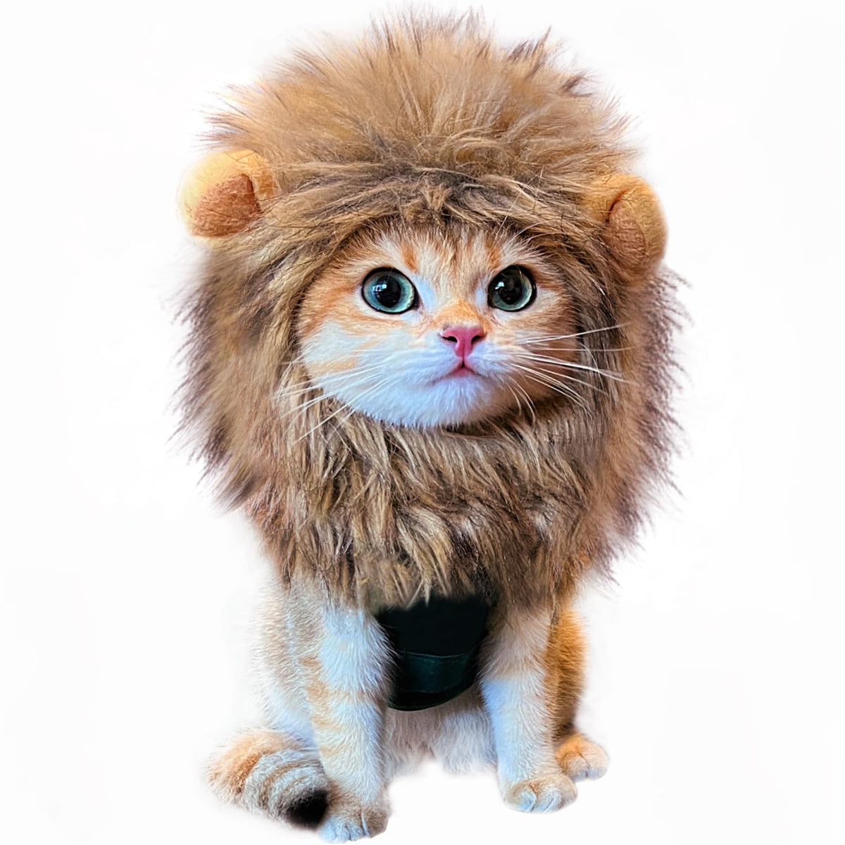 Lion Mane Cat Wig – Brown