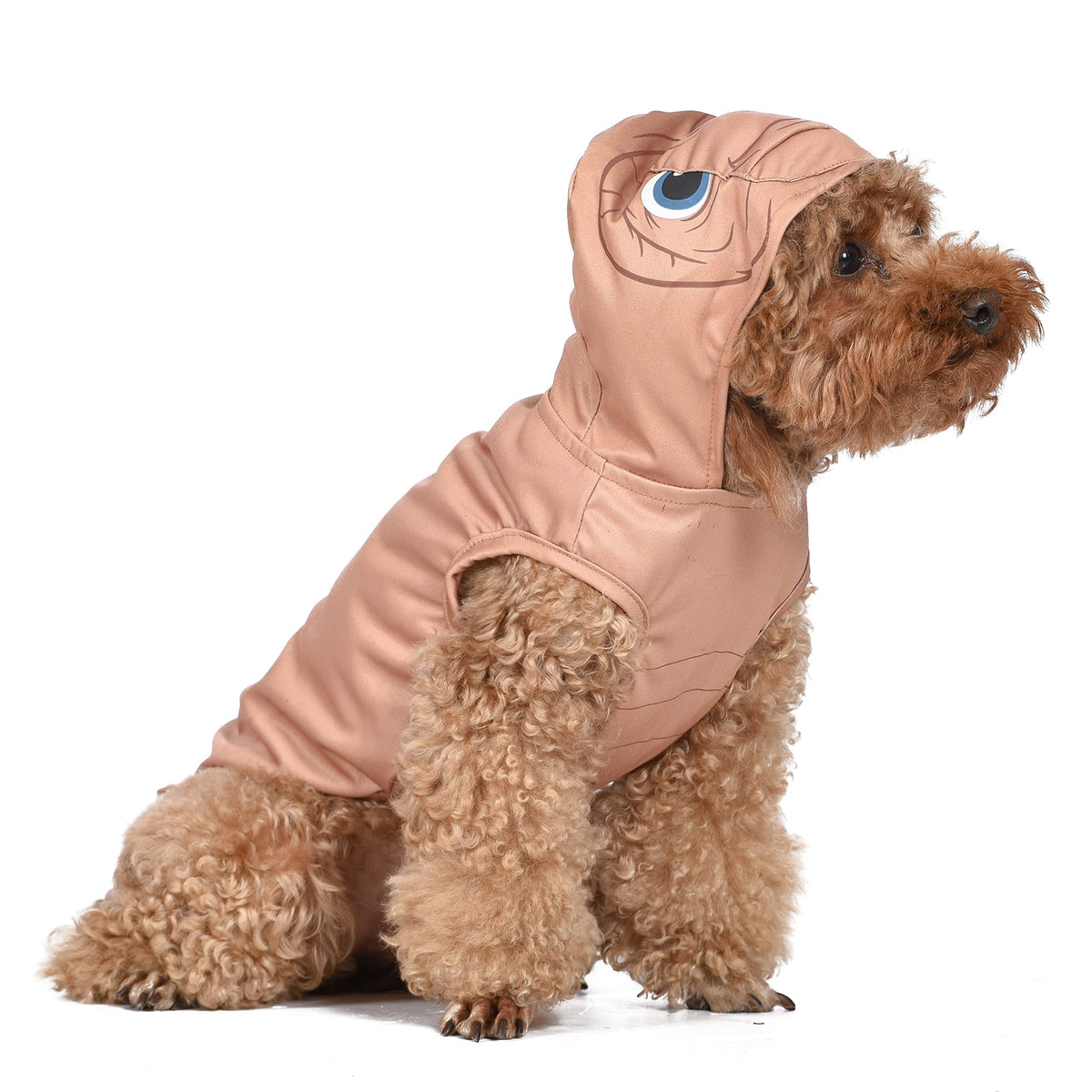 Halloween Costumes for Dogs Scary Dog Costumes
