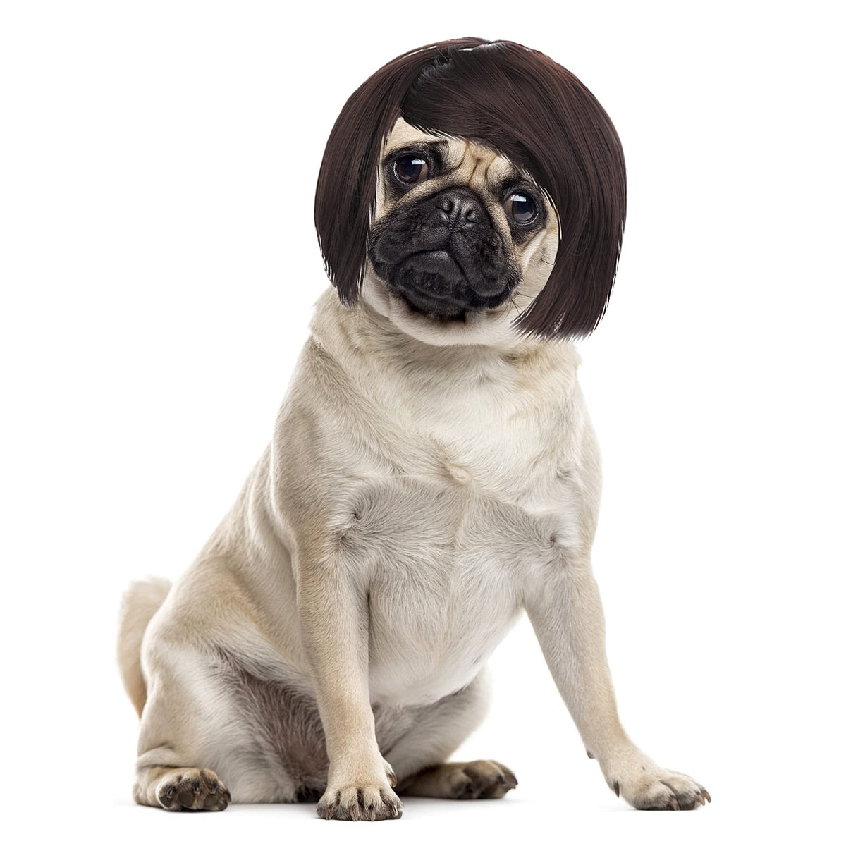 Pet Cosplay Wig – Black