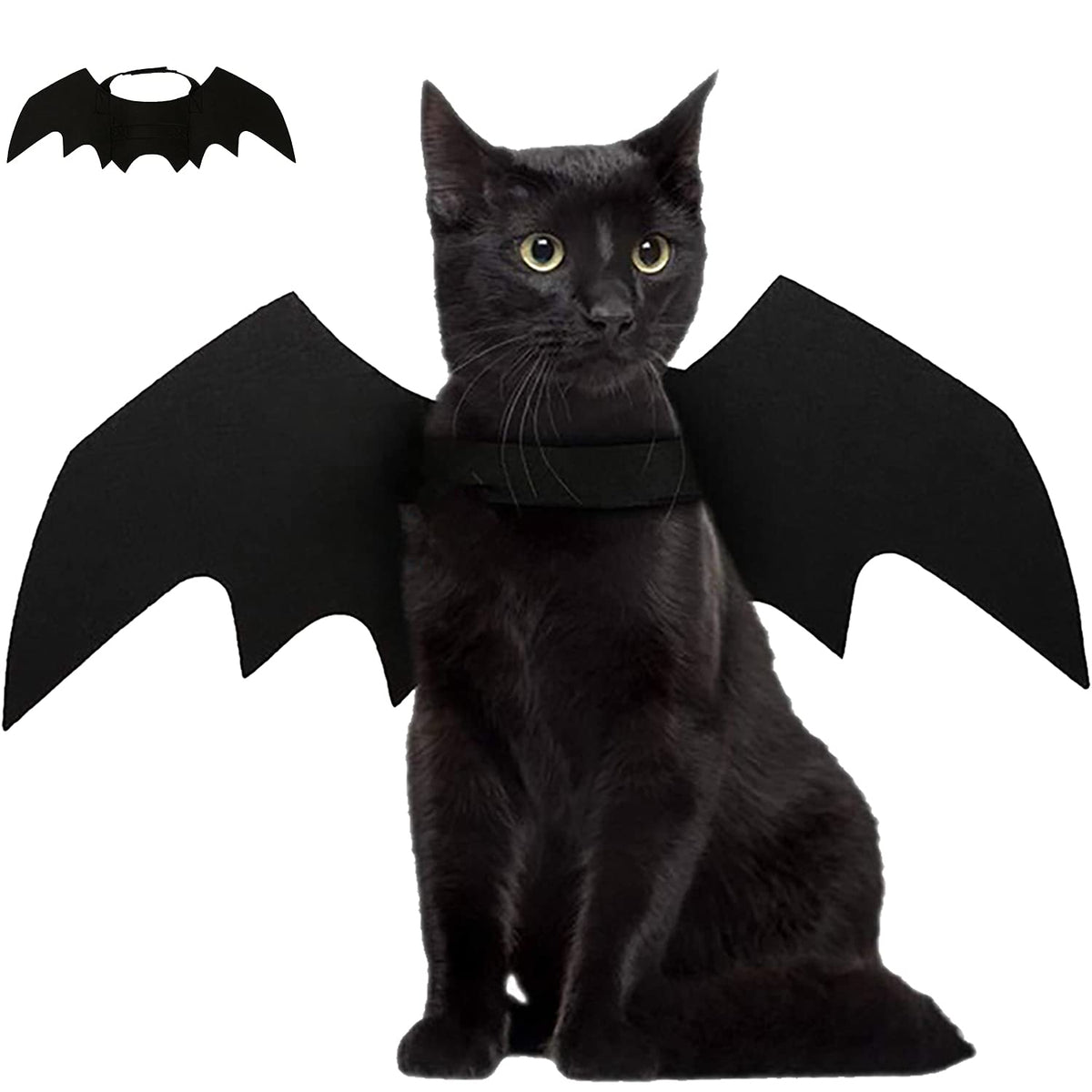 Pet Bat Wings – Black
