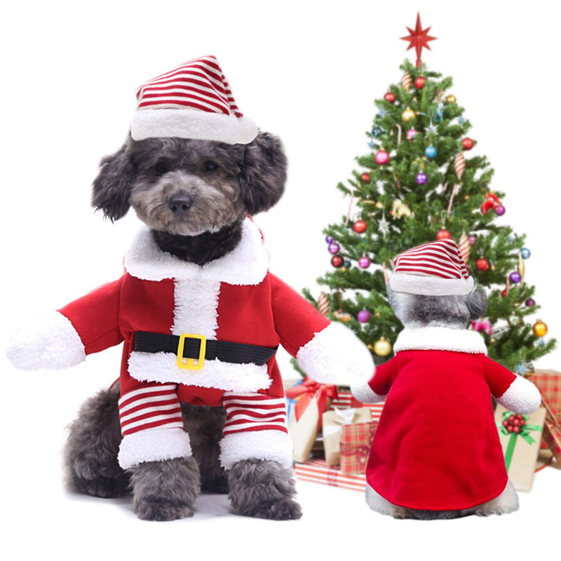Santa Pet Costume – S