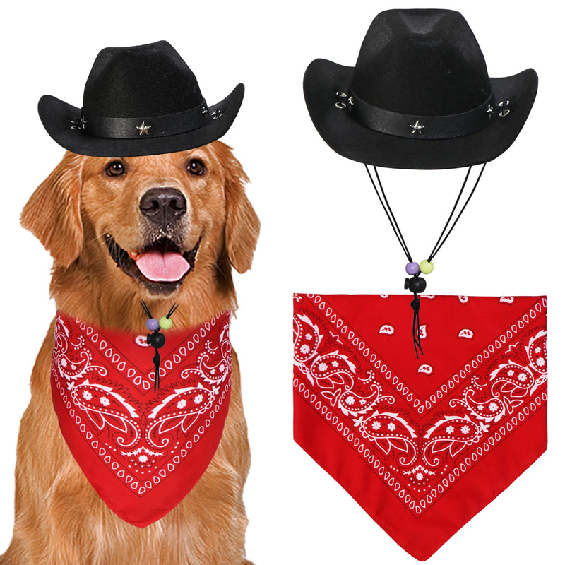 Dog Cowboy Costume Set – Large